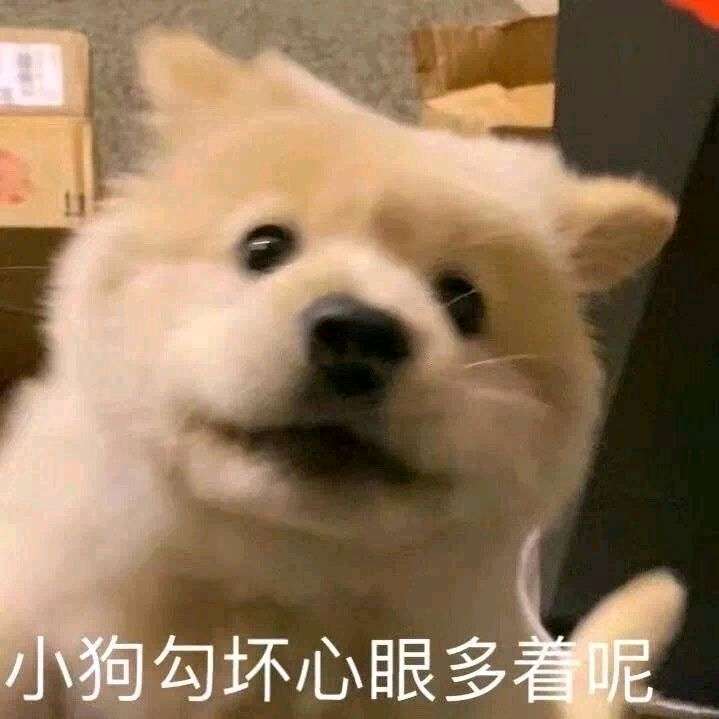 战双yyds截图