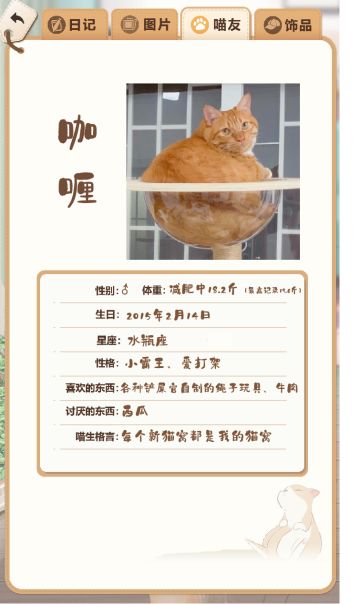 猫师傅工作室中被迫营业的三只小猫咪介绍来啦！！！