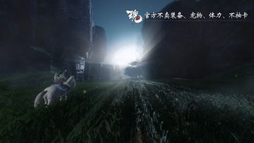 【活动】老魂淡出题，邀请参与首测！