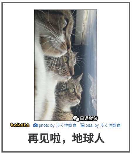 为暗改铺路?截图