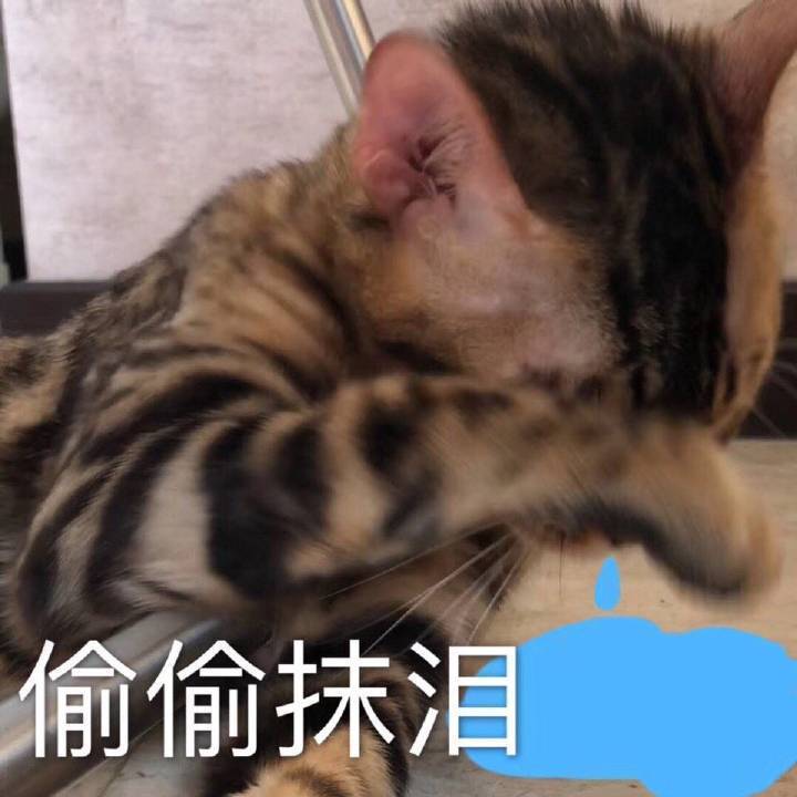 好卡哦截图