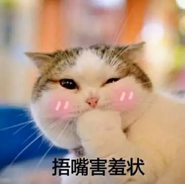 【活动】奇怪姿势解锁get！