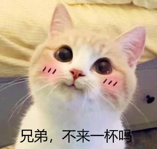 【活动】关于巨龙之地的传说，让冒险者们来讲述吧！