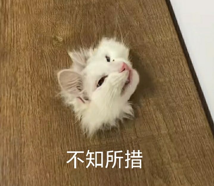 陨石做什么好截图
