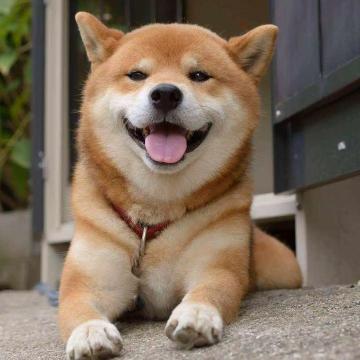 对局技巧丨大神玩家解读阵容克制链条，助你从容应对强势阵容！