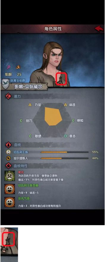 王族特性及相面攻略第四期--切瓦利王族