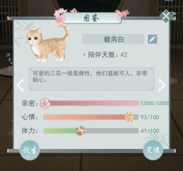 休闲党最后的倔强，60级宠物