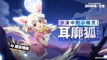 朋友情报丨沙漠中的小精灵-耳廓狐