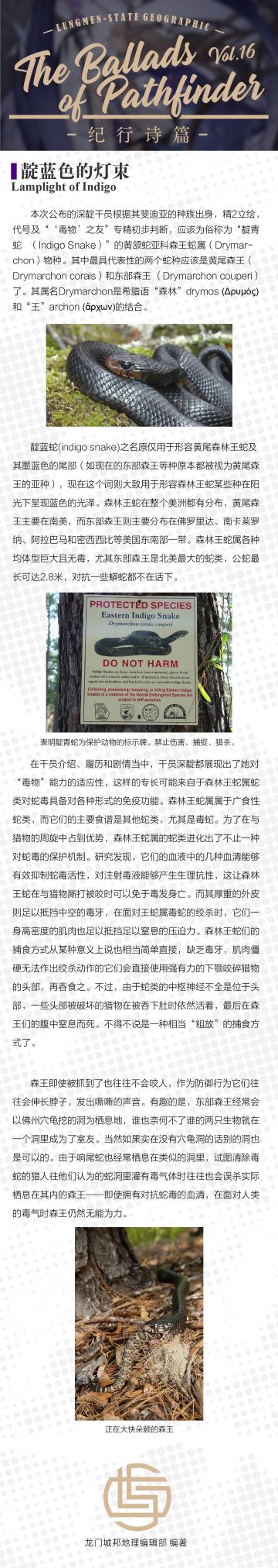 【考据】Vol.16 靛蓝色的灯束(深靛篇)