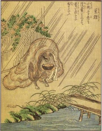 进击的狸猫军团！日本传说中的狸猫知多少~