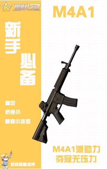 这些荒野好物，你pick了吗？