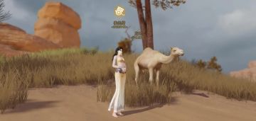 更新公告：西域美女司机上任！烹饪挑战赛即将开始～