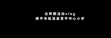 【公告】12月31日更新公告＆云养鹅系列活动预告