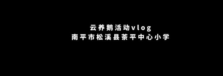 【公告】12月31日更新公告&云养鹅系列活动预告截图