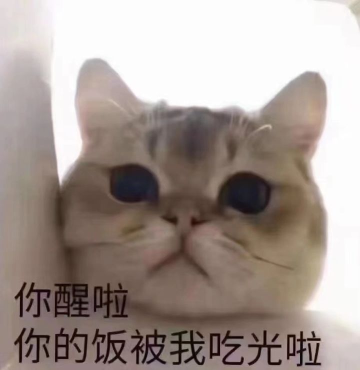 有群吗！截图