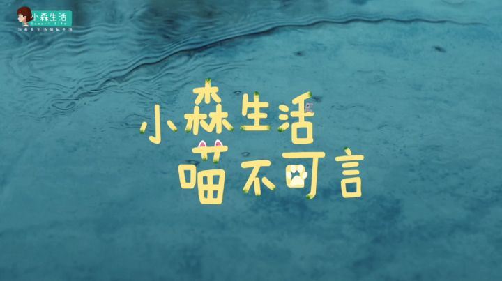 小森生活,喵不可言!截图