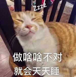 肉肉周报——碎碎念第七期来咯~截图