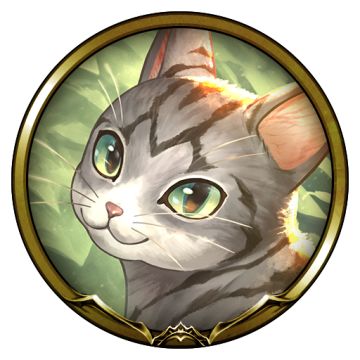 必得虹卡！十天觉醒特别组合包特卖公告