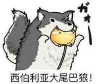 不可视之手截图