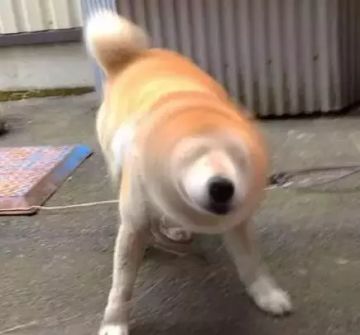 新玩法爆料 限时玩法即将来袭，星空之路和妆点圣诞内容抢先知