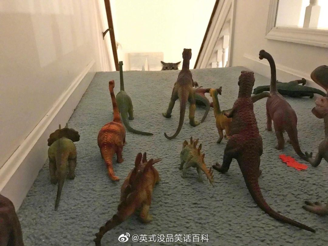 联动有进展了！！！（）截图