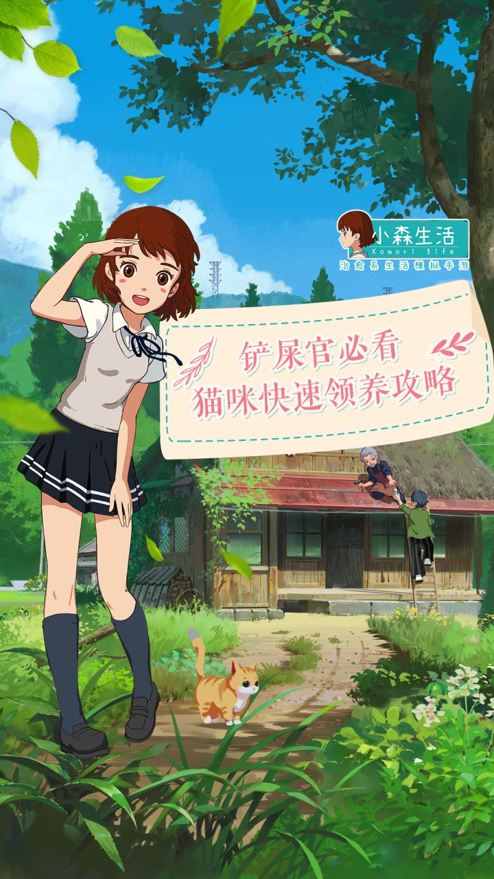 森村猫咪选美大赛即将来袭,你不会还没养猫吧?!截图