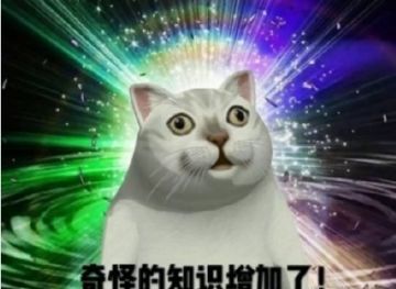 【帕诺普故事汇】 第四期 旷世的性感妖妇（二）