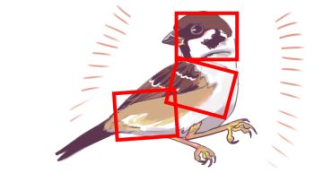 文鸟也捏脸！独立游戏玩出大厂的滋味 ？