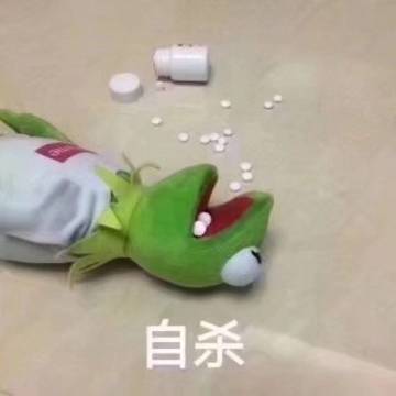 【同生共死】低练度单红诺碰瓷打法