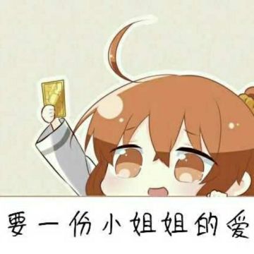 关于邮箱注册错误和pro支付账单问题