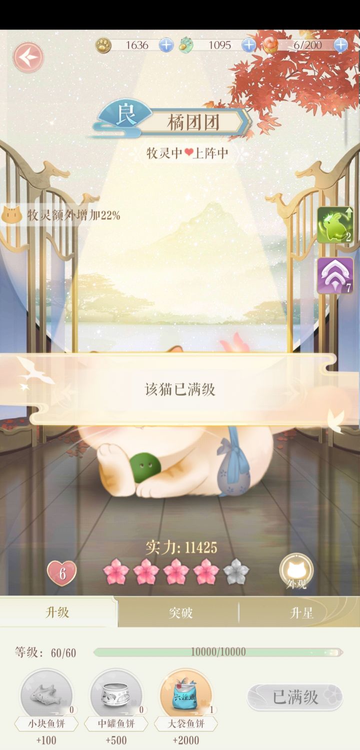 灵猫和花笺60级就满级了？截图