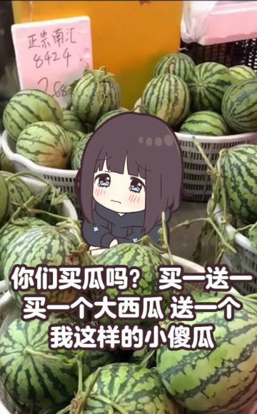 【胡桃日记】兔生艰难，被迫当街吆喝！