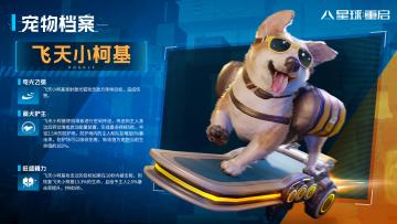 【宠物档案】萌犬护主，执拗的马拉松传奇——飞天小柯基