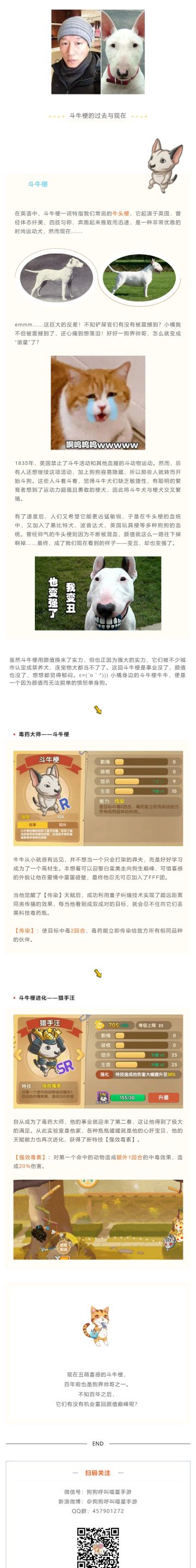 是什么让帅哥变谐星？