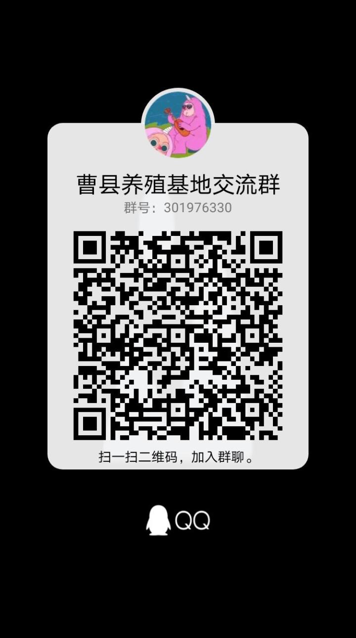 村子收人啦截图