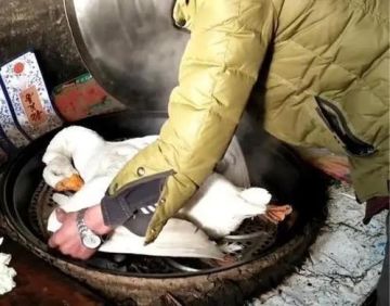 是谁带的头？敢不敢站出来？牛逼你现身，咱俩干一下子