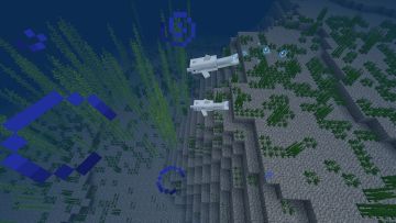 海洋更新最强萌物来袭！听说遇见它接下来三天都有好运哦~