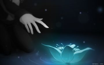 梦境中的蓝花...... 是与谁的联系......？