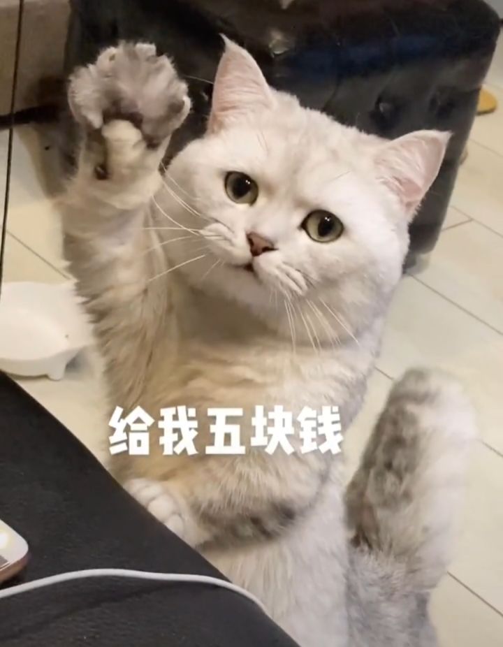 第一截图