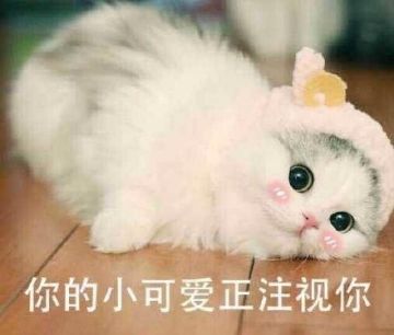 【光影世界】你的小可爱到了请签收~