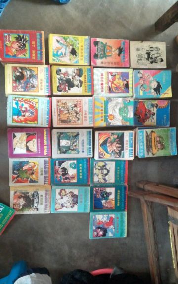 我的童年，我的龙珠