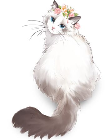 《猫特兰蒂斯》研发日志 Vol. 9 基本设定篇