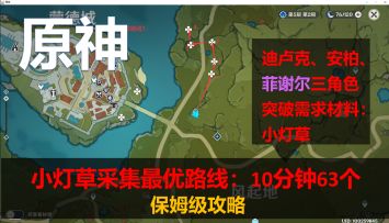【原神】小灯草采集最优路线：10分钟63个-保姆级攻略