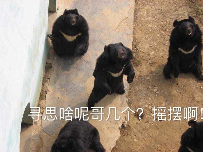 公会收点人撒。截图