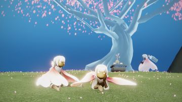 花期有时，拾光铭记 丨《光·遇》花憩节活动盘点