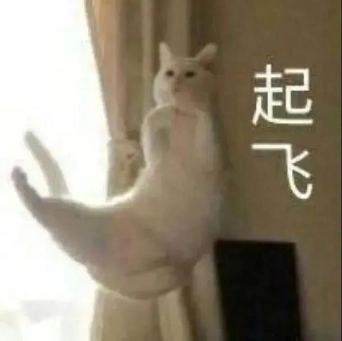 萌新又又又开始攒玉了( ̄▽ ̄)/截图