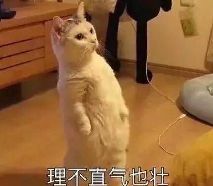 萌新把晶石全弄羲和了，心态崩了呀截图