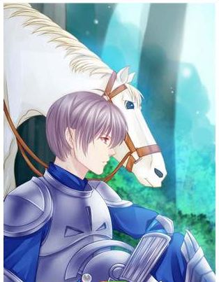 爱养成2男孩版骑士结局攻略 背负王城使命