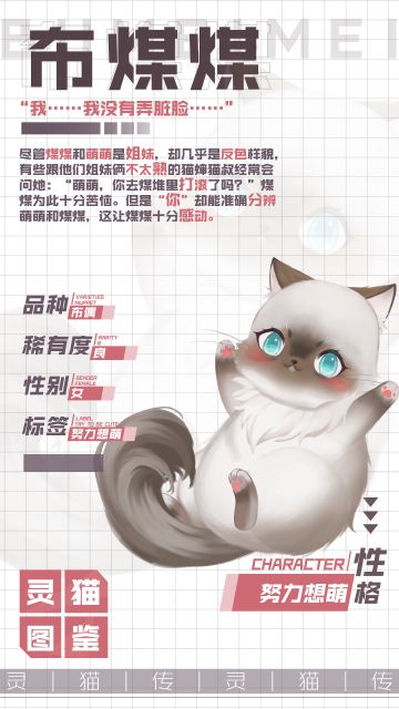 【灵猫图鉴】★良★ 双生子“小黑”—布煤煤