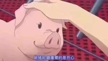 天气真好，我来讲个故事！